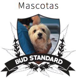 Mascotas