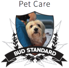 Pet Care