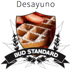 Desayuno