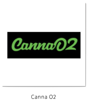 Canna 02