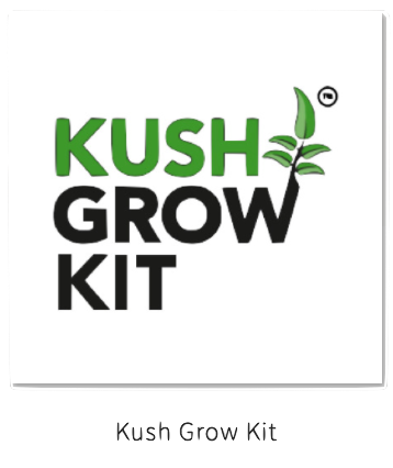 Hemp Health Inc