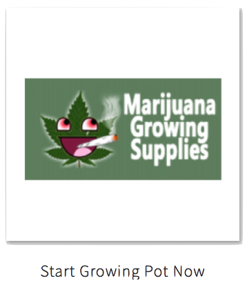 Start Growing Pot